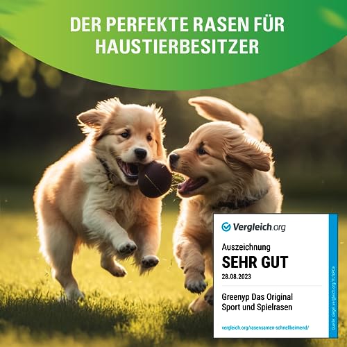 Greenyp® Sport I strapazierfähiger Sport-& Spielrasen I 10kg für 400m² I Sportrasen Grassamen Rasensamen Rasensaat Gras Nachsaat schnellkeimend – Bild 7