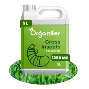 Organifer Grass Insects Konzentrat (5L, 1250m2) - Maden - Maikäfer - Rasenpflege - Rasendünger - Gartendünger - Ungiftiges Konzentrat