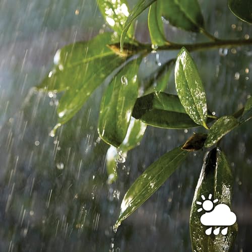 Philips Hue White Welcome Flutlicht (2.600 lm), dimmbare Outdoor Wandlampe für das Hue Lichtsystem mit warm- bis kaltweißem Licht, smarte Lichtsteuerung über Sprache und App, schwarz – Bild 9