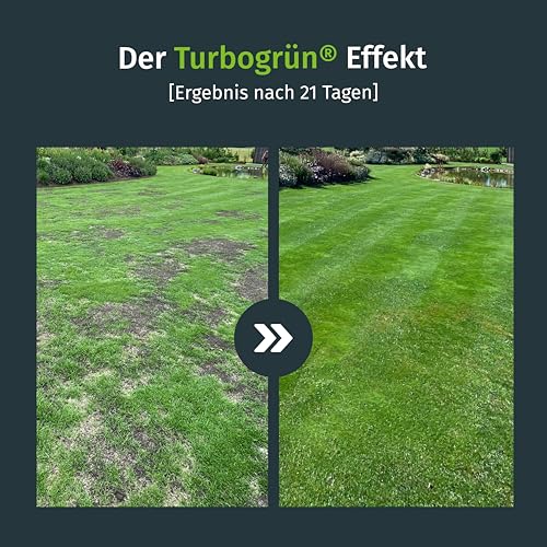 Rasensamen Nachsaat 150m², Rasensamen schnellkeimend, Grassamen, Rasen Nachsaat, Ideal gegen Lücken, Frühjahr und Herbst, Turbo Rasensamen Nachsaat, RSM Qualität, Turbogrün – Bild 3
