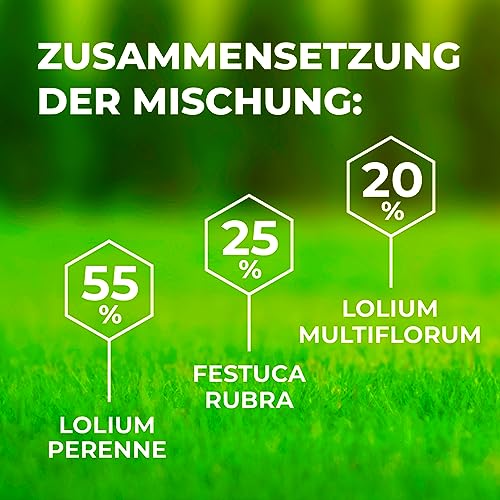 Spiel und Sport Rasensamen Greenato Sport Grassamen 20kg – schnellwachsender Rasensamen Grassamen Rasen lückendicht Spielrasen Samen ideal für Neuansaat extra robuster Rasen - für 800 m² – Bild 8