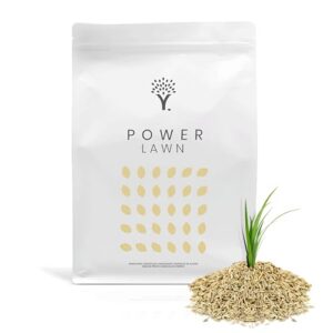MOOWY Power Lawn Rasensamen Schnellkeimend 250m² - Merhjährige und Strapazierfähige Sport und Spiel Rasensaat mit Biostimulanz-Beschichtung für 38% mehr Keimung - Ideal als Rasenreparatur Grassamen