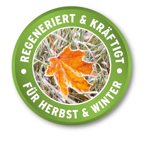 Substral Herbst Rasendünger, kaliumreicher Spezial-Rasendünger mit lang anhaltender Wirkung für 500 m², 12,5 kg Sack – Bild 7