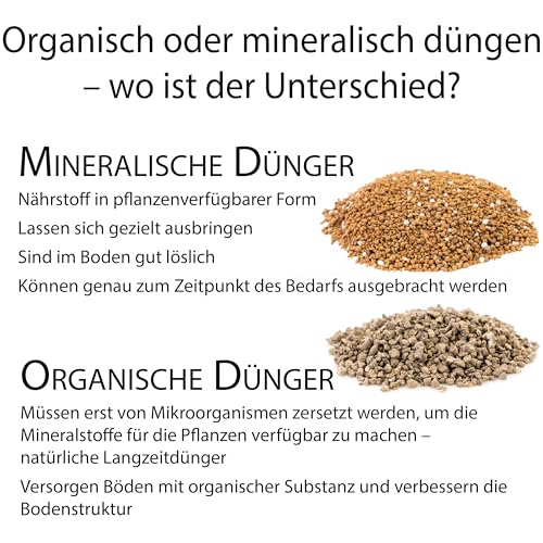 Substral Herbst Rasendünger, kaliumreicher Spezial-Rasendünger mit lang anhaltender Wirkung für 500 m², 12,5 kg Sack – Bild 8