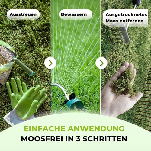 TerraUno Rasendünger Herbst Mooslos Glücklich, Moosfrei in 3 Tagen, 10 kg für 300 m², Eisendünger gegen Moos, extrafeines Granulat, Herbstdünger Rasen, Dünger für den Streuwagen – Bild 2