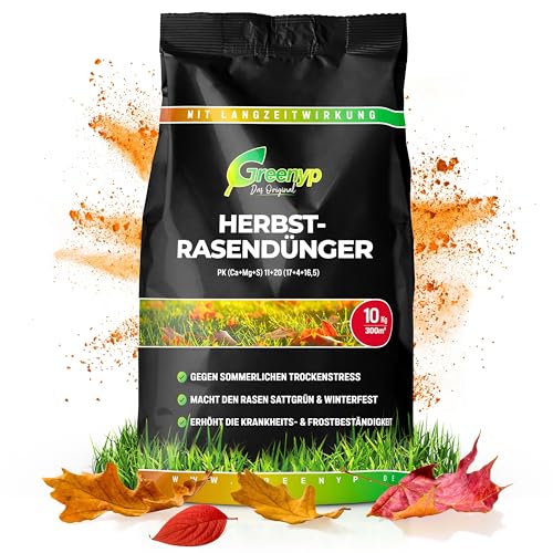 Greenyp Herbstrasendünger Langzeit (20kg / 600m²) I mit 90 Tage Langzeitwirkung extra Kalium I macht den Rasen Winterfest & Tiefgrün I Herbstdünger Rasen Rasendünger Herbst