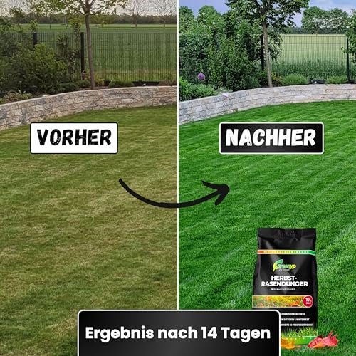 Greenyp Herbstrasendünger Langzeit (20kg / 600m²) I mit 90 Tage Langzeitwirkung extra Kalium I macht den Rasen Winterfest & Tiefgrün I Herbstdünger Rasen Rasendünger Herbst – Bild 3