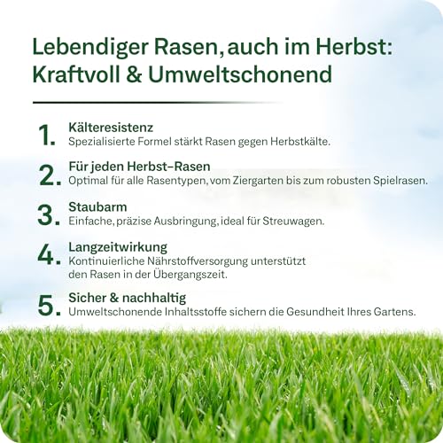 organtic Herbstrasendünger 20kg - Rasendünger mit Kalium für Herbst & Winter - Unterstützt sattgrünen Rasen, Moosverdrängung & starke Rasengräser - Für organische Rasenpflege im Garten – Bild 8