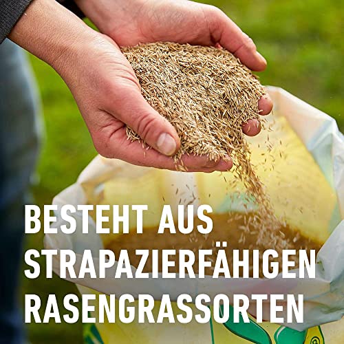 Compo Rasensaat Spiel und Sport, Universelle Rasenmischung, 8 kg, 400 m² – Bild 4