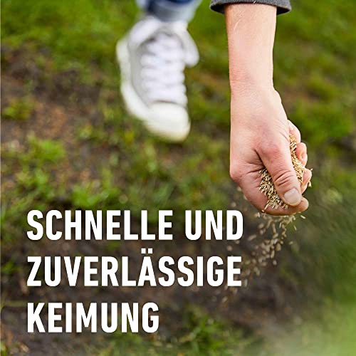 Compo Rasensaat Spiel und Sport, Universelle Rasenmischung, 8 kg, 400 m² – Bild 5