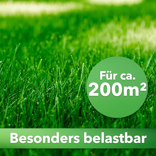 Hesa Gebrauchsrasen 5 kg für 200 m², RSM 2.3, Sport- und Spielrasen, schnellkeimende Premium Rasensamen, Grassamen strapazierfähig und robust in Profiqualität – Bild 3