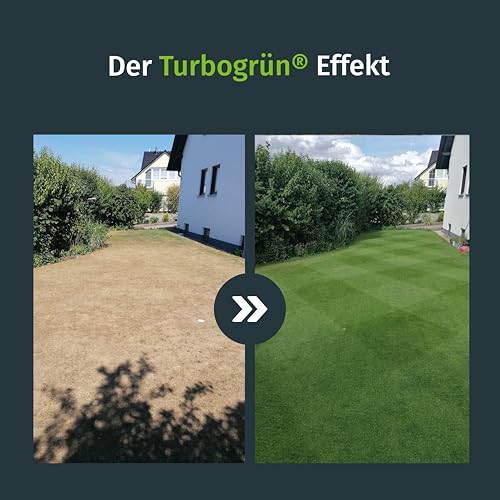 Rasensamen Sport und Spielrasen 250m², Rasensamen schnellkeimend, Grassamen, Sportrasen, Ideal zur Neuanlage, Robust bei Kinder und Tiere, Rasensaat, Spielrasen, RSM Qualität, Turbogrün – Bild 3