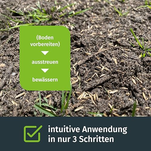 Rasensamen Sport und Spielrasen 250m², Rasensamen schnellkeimend, Grassamen, Sportrasen, Ideal zur Neuanlage, Robust bei Kinder und Tiere, Rasensaat, Spielrasen, RSM Qualität, Turbogrün – Bild 4