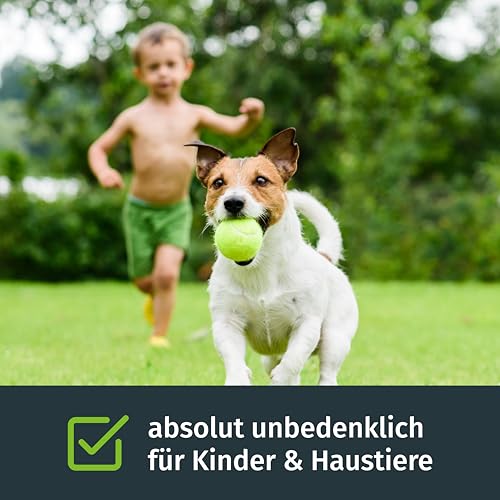 Rasensamen Sport und Spielrasen 250m², Rasensamen schnellkeimend, Grassamen, Sportrasen, Ideal zur Neuanlage, Robust bei Kinder und Tiere, Rasensaat, Spielrasen, RSM Qualität, Turbogrün – Bild 5