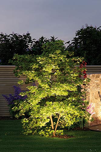 Paulmann 93689 Plug & Shine LED Außenleuchte Sting incl. 3x6 Watt dimmbar Gartenspieß Anthrazit Gartenleuchte Alu Außenbereich 3000 K – Bild 10