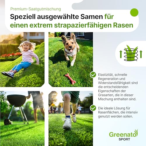Spiel und Sport Rasensamen Greenato Sport 30kg - Grassamen ideal für Mähroboter Rasensamen schnellkeimend für Neuansaat und Nachsaat extra robust Moos und Unkrautvernichter Rasen - reicht für 1200 m² – Bild 5