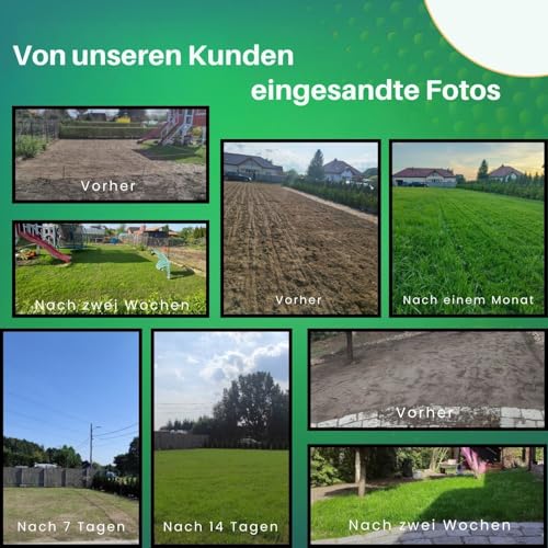 ARPON Rasensamen Schnellkeimend Herbst | Grassamen Robust & pflegeleicht 10kg – Reicht für 400m² | Herbstrasensamen Nachsaat & Neuansaat | Dichtes, sattgrünes Gras | Rasensaat ideal für jeden Rasen – Bild 4