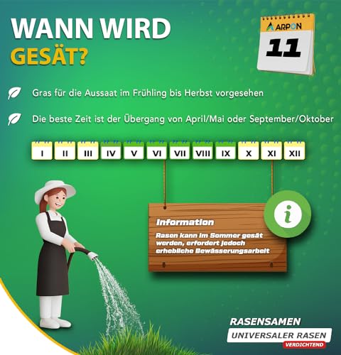 ARPON Rasensamen Schnellkeimend Herbst | Grassamen Robust & pflegeleicht 10kg – Reicht für 400m² | Herbstrasensamen Nachsaat & Neuansaat | Dichtes, sattgrünes Gras | Rasensaat ideal für jeden Rasen – Bild 6