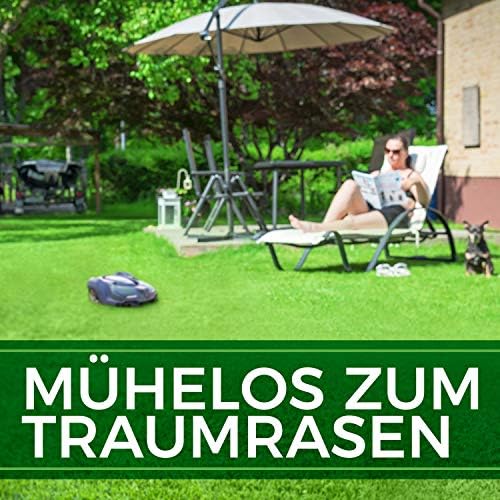 Mähroboter Rasensamen schnellkeimend 5kg TEST SEHR GUT - Roboter Grassamen Made in Germany - Für pflegeleichten Garten mit Natureflow Rasensaat – Bild 5