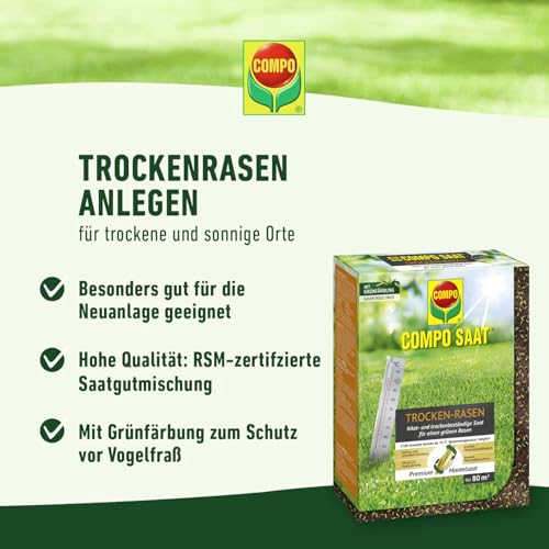 COMPO SAAT Trocken-Rasen, Hitze- und trockenverträgliche Rasensamen/Grassamen für trockene und sonnige Standorte, 2 kg, 80 m² – Bild 2