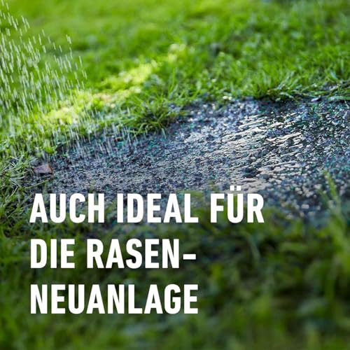 COMPO SAAT Trocken-Rasen, Hitze- und trockenverträgliche Rasensamen/Grassamen für trockene und sonnige Standorte, 2 kg, 80 m² – Bild 4