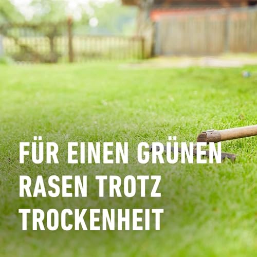 COMPO SAAT Trocken-Rasen, Hitze- und trockenverträgliche Rasensamen/Grassamen für trockene und sonnige Standorte, 2 kg, 80 m² – Bild 6