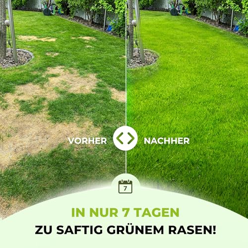 TerraUno Rasendünger Frühjahr/Sommer I Sofortwirkung für saftiges grün I 10 kg für 500 m² I gesunder Rasen verdrängt Moos und Unkraut I NPK Dünger Rasen I Gegen Trockenstress I Für den Streuwagen – Bild 2