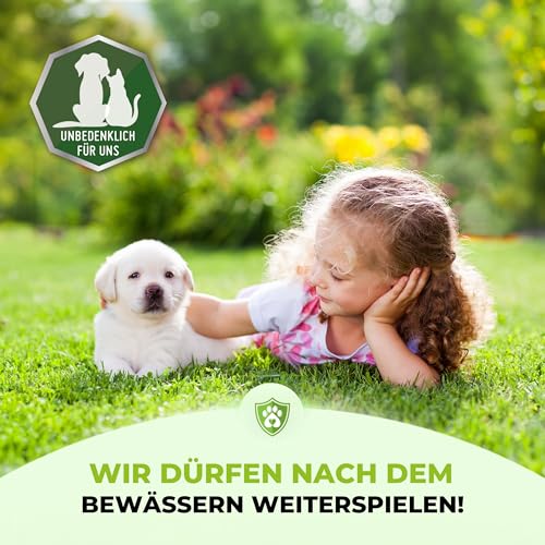 TerraUno Rasendünger Frühjahr/Sommer I Sofortwirkung für saftiges grün I 10 kg für 500 m² I gesunder Rasen verdrängt Moos und Unkraut I NPK Dünger Rasen I Gegen Trockenstress I Für den Streuwagen – Bild 7