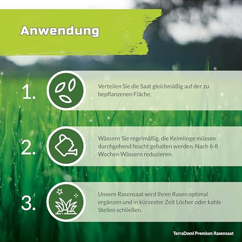 TerraDomi Premium Rasensamen für An-& Nachsaat I Schnellkeimend, robust und für einen dichten grünen Rasen I Mähroboter optimiert I 10kg für 500m² – Bild 5