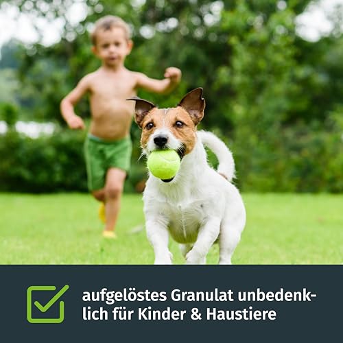 Turbogrün Rasendünger Sommer 10kg, gesunder Rasen verdrängt Moos, Ideal im Sommer, geeignet für Streuwagen, staubarmes Granulat, Rasen dünger, Rasenpflege – Bild 5