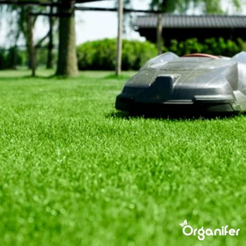 Eisensulfat Dünger (20 Kg - 1000 M2) - Moosentferner - Eisensulfat Gegen Moos - Demosser - Dünger - Eisensulfat Für Rasen - Organifer – Bild 8