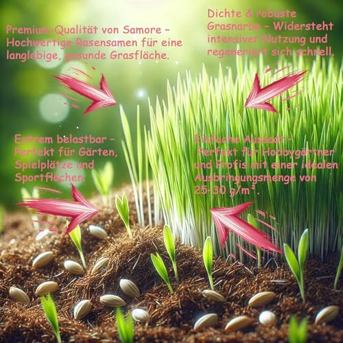 2x10 kg = 20 kg Rasensamen Sport und Spiel schnellkeimend 800m² robust tiefgrün, ideal für Neuansaat und Nachsaat, Rasensaat Grassamen, Made in Germany – Bild 2