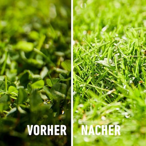 Compo FLORANID Rasendünger Plus Unkrautvernichter, 3 Monate Langzeitwirkung, Feingranulat, 6 kg, 200 m² – Bild 6