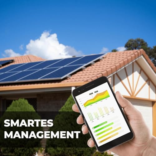 SUNNIVA® 920W Balkonkraftwerk BIFAZIAL FULLBLACK komplett Steckdose AP Systems EZ1-M 800 Watt Wechselrichter, PV Solaranlage Komplettset,2x460W Glas-Glas Bifacial Solarmodule, 5m Kabel,4x1m Solarkabel – Bild 7