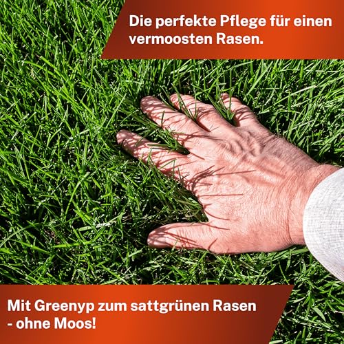 Greenyp Anti Moos Rasendünger I 2in1 Rasen- & Eisendünger 20kg für 400m² | Für Rasenflächen mit Moos | Rasendünger Eisensulfat granuliert, streuwagengeeignet und staubarm für Frühjahr bis Spätsommer – Bild 6