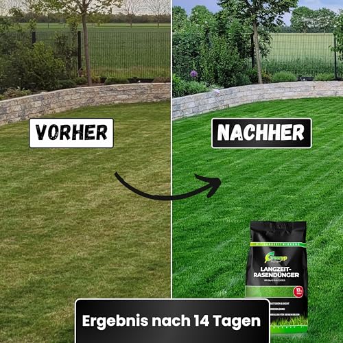 Greenyp Kompakt Langzeit Rasendünger Frühjahr I 30kg für 1000m² I mit Langzeitwirkung & Depotwirkung für Frühjahr bis Spätsommer I verhindert Moosbildung I NPK Dünger Rasen Dünger – Bild 3