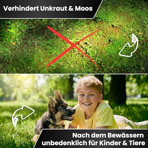Greenyp Kompakt Langzeit Rasendünger Frühjahr I 30kg für 1000m² I mit Langzeitwirkung & Depotwirkung für Frühjahr bis Spätsommer I verhindert Moosbildung I NPK Dünger Rasen Dünger – Bild 5
