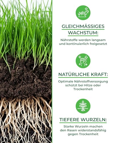 Bio-Rasendünger Frühjahr & Sommer – TESTSIEGER, Made in Germany – 10,5 kg für 400 m² – Organische Nährstoffversorgung für gesunden Boden und dichtes, sattgrünes Grün – Bild 4