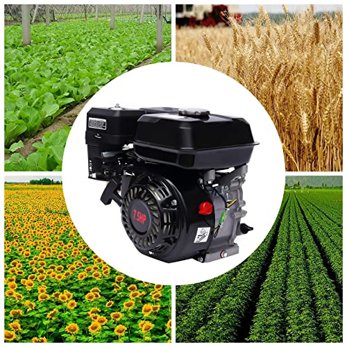 Benzin Stromgenerator (mit 7.5 HP 4 Stroke Benzinmotor, 3.6 Liter Tank, leicht und kompakt, leichter Transport des Notstromaggregats, Seilzugstarter, Tragbar 15 kg Gewicht) – Bild 4