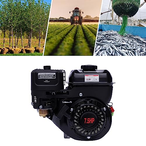 Benzin Stromgenerator (mit 7.5 HP 4 Stroke Benzinmotor, 3.6 Liter Tank, leicht und kompakt, leichter Transport des Notstromaggregats, Seilzugstarter, Tragbar 15 kg Gewicht) Schwarz – Bild 3