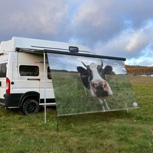 CAMPIDOO Textil Sonnensegel Kuh Berta | Höhe 200cm | hochwertiger Fotodruck inkl. Keder-Befestigung | Markisen-Vorderwand - Länge/Keder: 380cm / 5 mm Keder