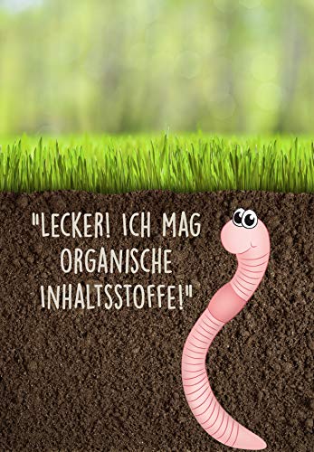 Substral Naturen 6in1 Komplett Rasendünger, 20 kg für 270 m² - mit Sofort und Langzeitwirkung mit Extra Kalk und Kalium – Bild 8