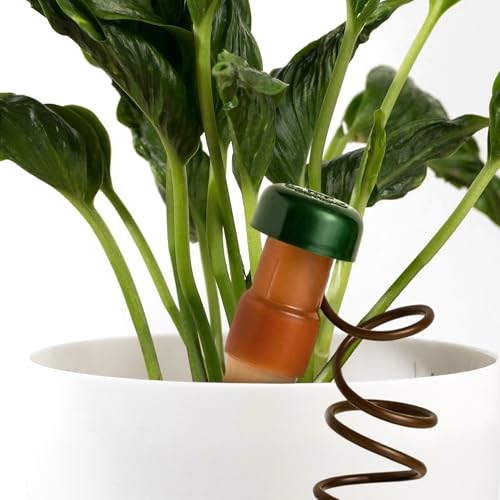 Blumat Klassische selbstbewässernde Stäbe, automatisches Tropfbewässerungssystem für Zimmerpflanzenbewässerung und Außenbereich, Wassertropflösung für Topfpflanzen, langsames Freisetzen, 15 Stück, mit