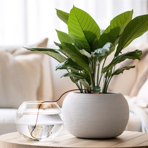 Blumat Klassische selbstbewässernde Stäbe, automatisches Tropfbewässerungssystem für Zimmerpflanzenbewässerung und Außenbereich, Wassertropflösung für Topfpflanzen, langsames Freisetzen, 15 Stück, mit – Bild 6