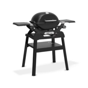 WEBER Gasgrill Q 1200N schwarz mit Standfuß