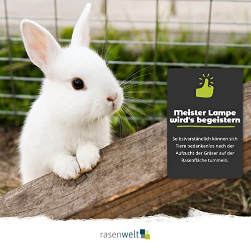 ARENA Gebrauchsrasen Grassamen RSM 2.3 10kg – Premium Sport- und Spiel Rasensamen für Spiel- & Freizeitgärten – zertifiziert nach RSM Standard – schnellkeimend & belastbar – Bild 4