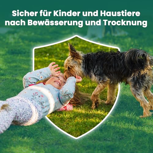 LERAVA® Rasenlangzeitdünger Marathon (900 m²) – Frühjahrsdünger Rasen mit Langzeitwirkung – NPK-Dünger für dichten, vitalen Rasen – Kontrollierte Nährstoffabgabe bis zu 3 Monate – Bild 3