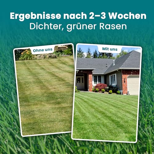 LERAVA® Rasenlangzeitdünger Marathon (900 m²) – Frühjahrsdünger Rasen mit Langzeitwirkung – NPK-Dünger für dichten, vitalen Rasen – Kontrollierte Nährstoffabgabe bis zu 3 Monate – Bild 4