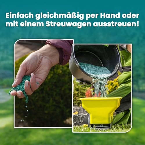 LERAVA® Rasenlangzeitdünger Marathon (900 m²) – Frühjahrsdünger Rasen mit Langzeitwirkung – NPK-Dünger für dichten, vitalen Rasen – Kontrollierte Nährstoffabgabe bis zu 3 Monate – Bild 5