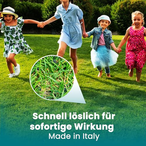 LERAVA® Rasenlangzeitdünger Marathon (900 m²) – Frühjahrsdünger Rasen mit Langzeitwirkung – NPK-Dünger für dichten, vitalen Rasen – Kontrollierte Nährstoffabgabe bis zu 3 Monate – Bild 6